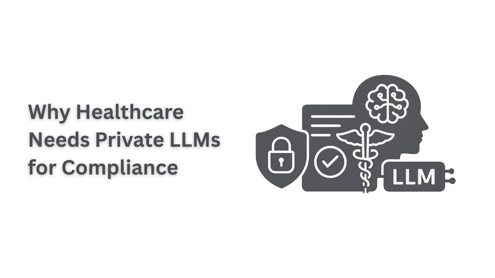 Why Healthcare Needs Private LLMs for Compliance